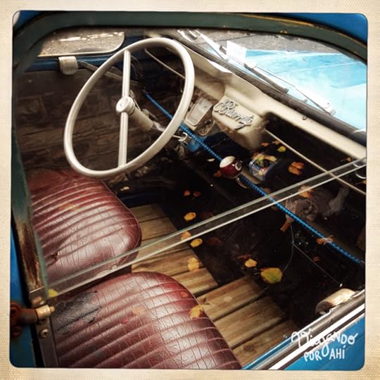 Encontré un auto con hojitas de otoño.