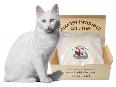 Almost-Invisible_cat-litter