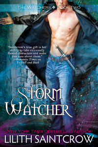 Storm Watcher - 600x900x300