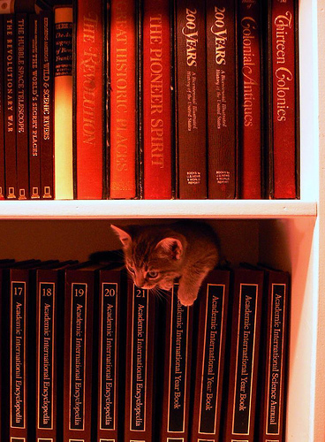 Annika's Education by Osmosis by Vicki's Pics