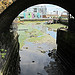 The Laban Dance Centre and Deptford Creek
