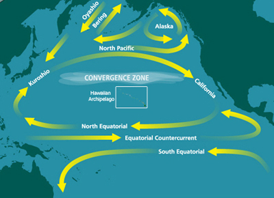 Convergence zone
