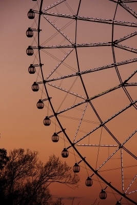  photo 4dd38e69-0f67-4dc8-9e04-63d61a54fab1_zpsbb89d043.jpg