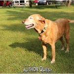 Scooby Boo, Camp Mascot