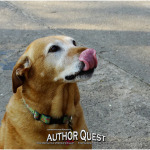 Scooby Boo, Camp Mascot