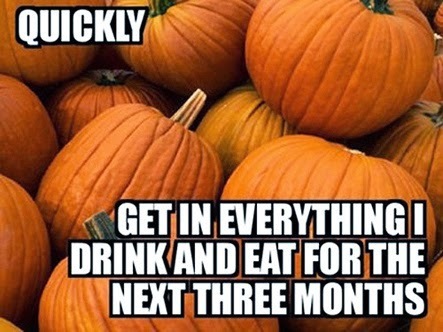 Pumpkins: Quickly, get in everything I eat and drink for the next three months