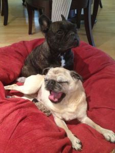 The ladies lounging.