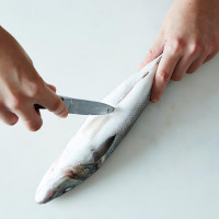 gut-a-fish-1