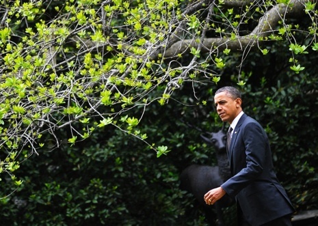 phoney-war-2012.jpg