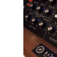 moog
