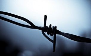 barbed wire
