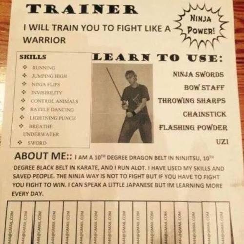 ninja flyer
