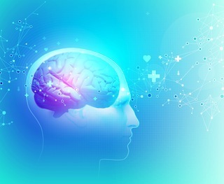 brain
