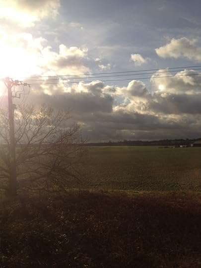 20120110-122129.jpg