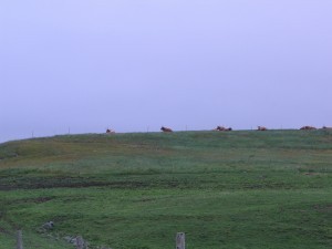 Imagine meeting these in a dense fog