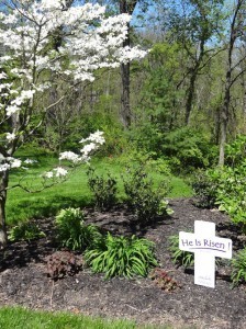 He is risen Easter Cross in the garden
