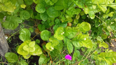 20140729_090806