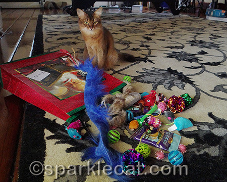 That is a LOT of toys!