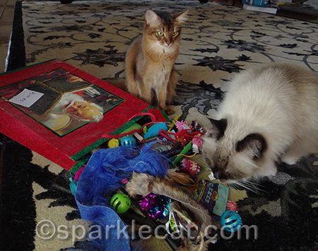 I needed help with all these toys!