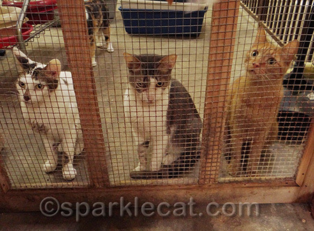 These three were ready for action