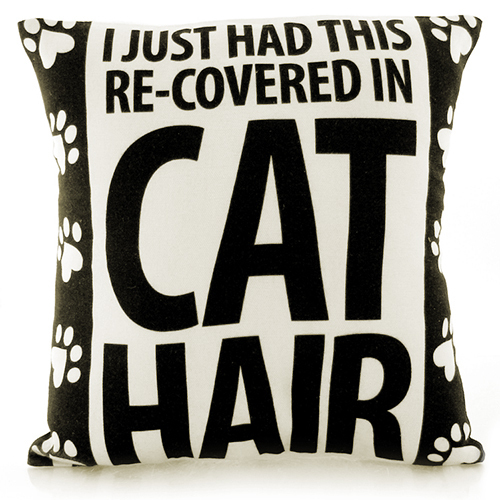 I Just Had This Re-covered In Cat Hair Pillow