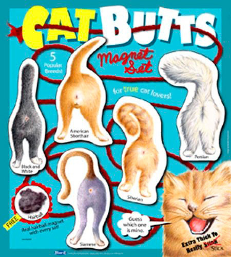 Cat Butt Magnet set