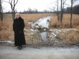 Lowlands behind the house0001