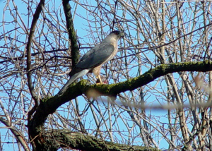 Courtesy MorgueFile.com