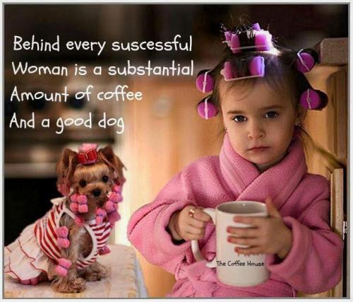 10253853_10152665427958821_466315587751627702_n