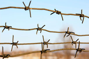 barbed wire © Arrows Fotolia.com