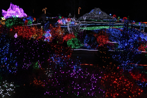 A SEA OF XMAS LITES JULIA