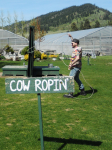 Cow ROpin