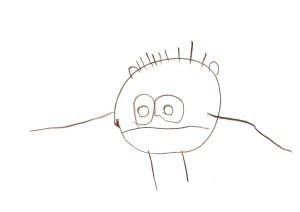 No Eyebrows