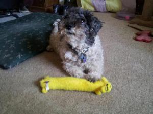 Pete with Mr. Fuzzy Man