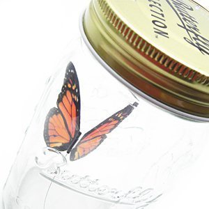 Butterfly in a Jar - Monarch