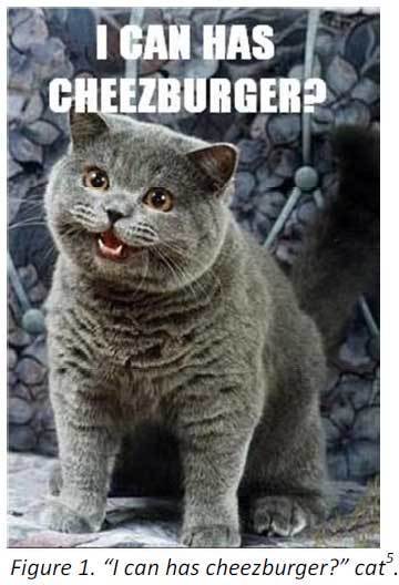 kitty pidgin 01