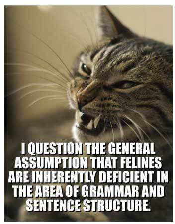 kitty pidgin 02