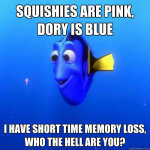 dory memory