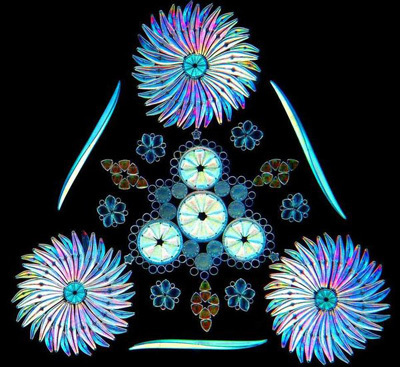 Diatom by Klaus Kemp