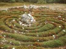 f450x450px-275a1f703c56e3e624c7a78ee3515186