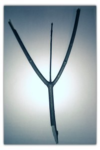 Lomogram_2014-12-12_06-42-57-PM