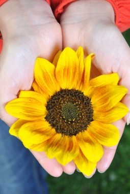 woman hands with flowers outdoor