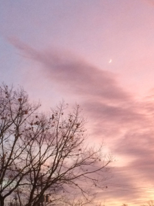 Crescent moon 2