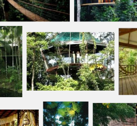 VFYW-Treehouse-2