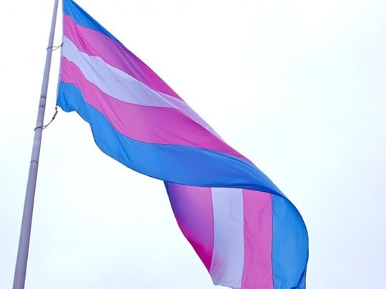 Transgender flag, San Francisco. By torbakhopper CC-BY-2.0 via Wikimedia Commons.