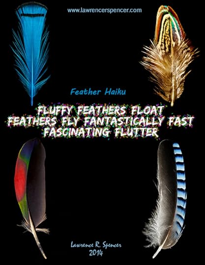 FEATHER HAIKU