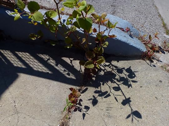 cracks and shadows 24-05-2014 10-20-27 AM