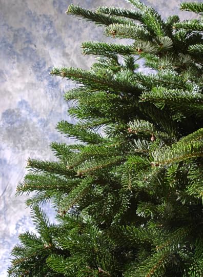  photo tumblr_ng65hgz1PK1sb2fbwo1_1280_zpsbcc89b2c.png