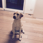 Sto qui e aspetto i fagiolini ok?