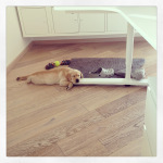 E poi crolli cos��